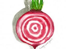 candy cane beet